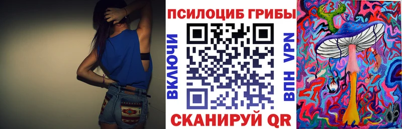 Галлюциногенные грибы Psilocybine cubensis  сколько стоит  мега ссылка  Ковылкино 